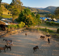 Spring Spur - Sunshine Coast Tourism