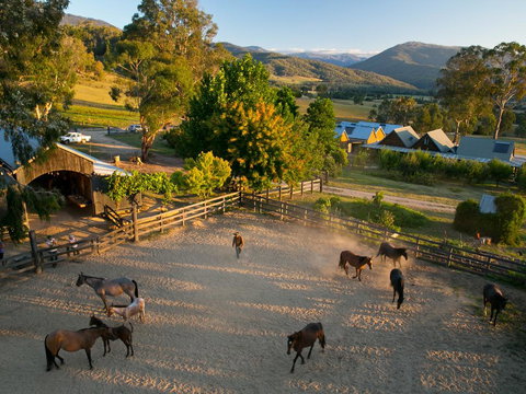 Spring Spur - Sunshine Coast Tourism 0