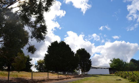 Springhill Winery - Holiday Sunshine Coast 2