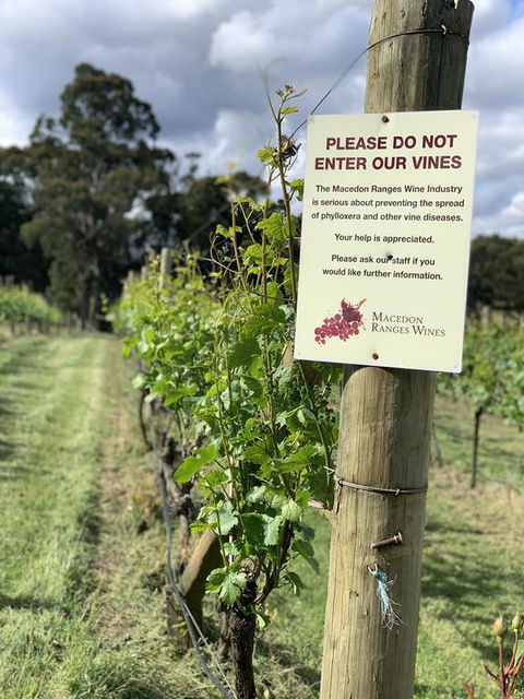 Springhill Winery - Holiday Sunshine Coast 3