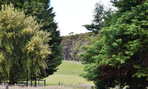 Springhill Winery - Holiday Sunshine Coast 1