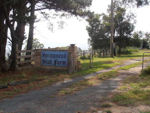 Springmead B&B - Sunshine Coast Tourism 2