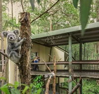 Springwood Meditation Centre - Holiday Sunshine Coast