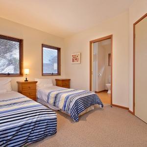 Square Bear-DPA - Sunshine Coast Tourism 3