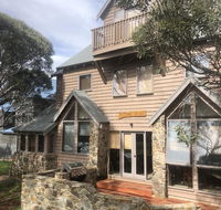 Square Bear-DPA - Sunshine Coast Tourism