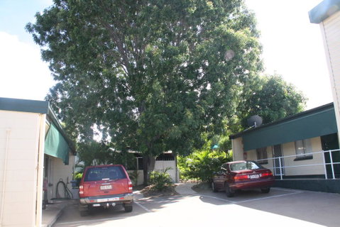 Star Inn Accommodation - Sunshine Coast Tourism 3