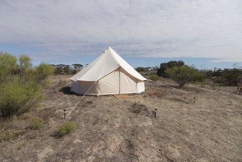 Starfields Luxury Camping - Sunshine Coast Tourism 1