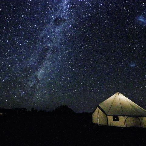 Starfields Luxury Camping - Sunshine Coast Tourism 3