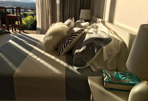 Studio With Stunning Mountain Views - Sunshine Coast Tourism 2