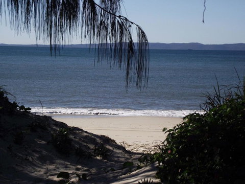 Stunning Surfside Apartment - Boyd St, Woorim - Sunshine Coast Tourism 1