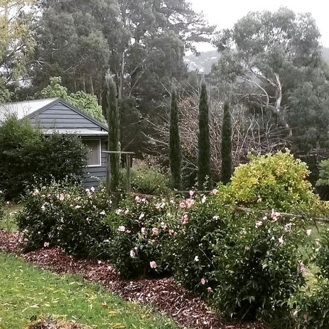 Summerhill Farm B&B - Sunshine Coast Tourism 3