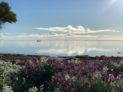 Sunset Cove Beach House - Sunshine Coast Tourism 1