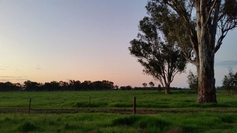Sunset Villas Cobram - Sunshine Coast Tourism 3