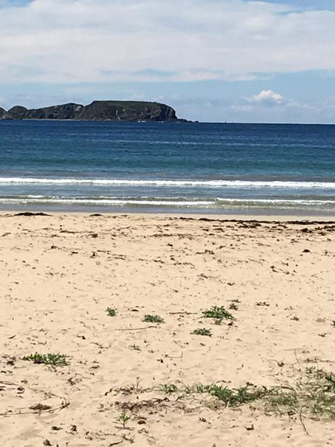 Surf Beach Holiday - Sunshine Coast Tourism 0