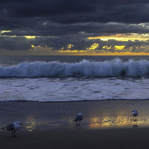 Surfers Horizons - Sunshine Coast Tourism 3