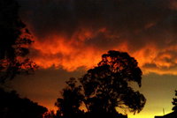 Book Thulimbah Accommodation Vacations Sunshine Coast Tourism Sunshine Coast Tourism