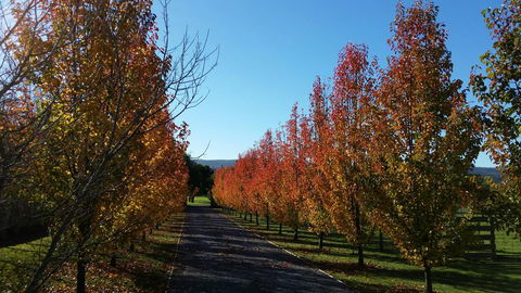 Tamar Valley Farm Stay - Holiday Sunshine Coast 3