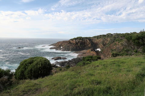 Tathra Hotel & Motel - Sunshine Coast Tourism 1