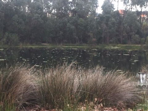 Telperon (2 Rooms, 3-4 Guests) - Holiday Sunshine Coast 2