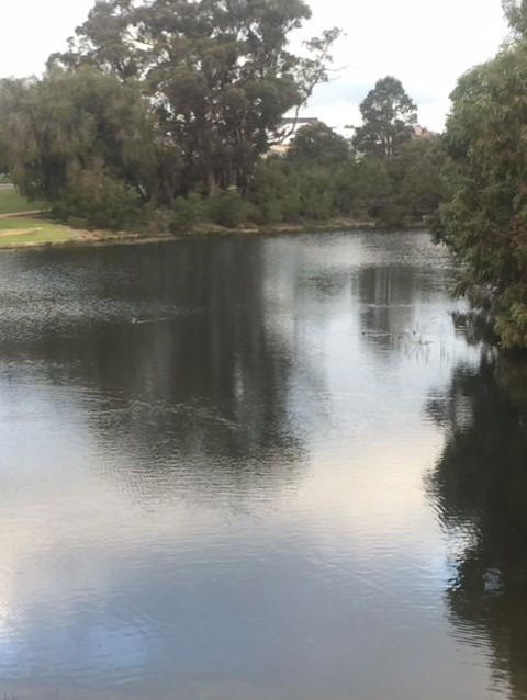 Telperon (2 Rooms, 3-4 Guests) - Holiday Sunshine Coast 3