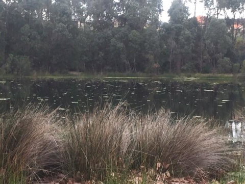 Telperon (2 Rooms, 3-4 Guests) - Sunshine Coast Tourism 2