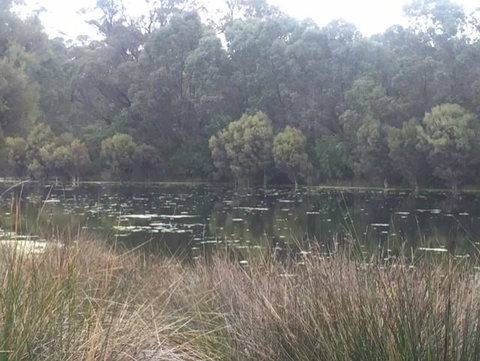Telperon (2 Rooms, 3-4 Guests) - Sunshine Coast Tourism 1