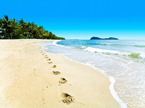 Temple 121 Modern Spacious Palm Cove 2 Brm 2 Bth Resort Apartment With Courtyard - Sunshine Coast Tourism 0