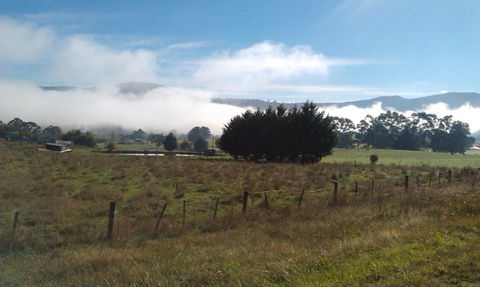 Birch Lane - Holiday Sunshine Coast 30
