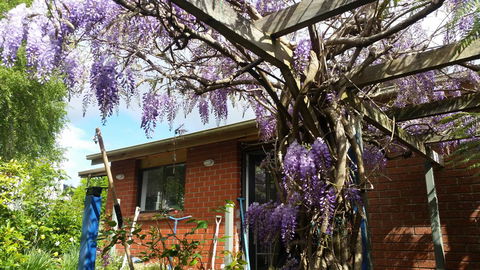 Birch Lane - Holiday Sunshine Coast 42