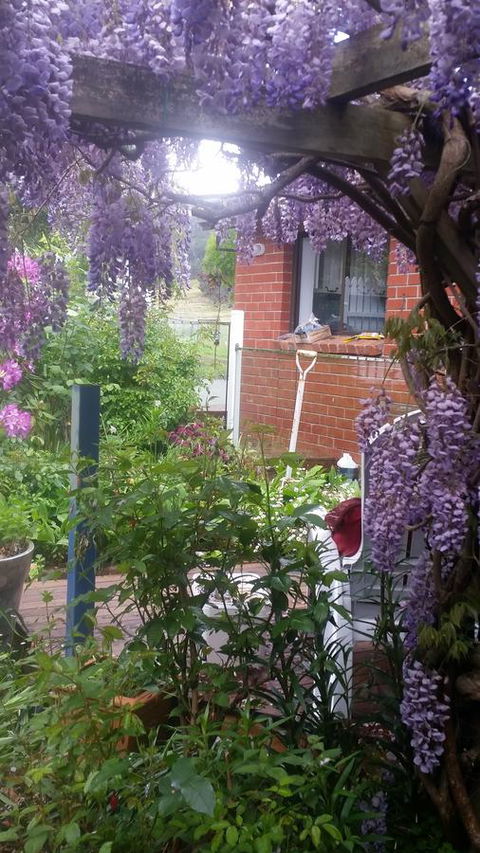 Birch Lane - Holiday Sunshine Coast 41