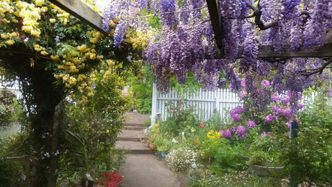 Birch Lane - Holiday Sunshine Coast 20