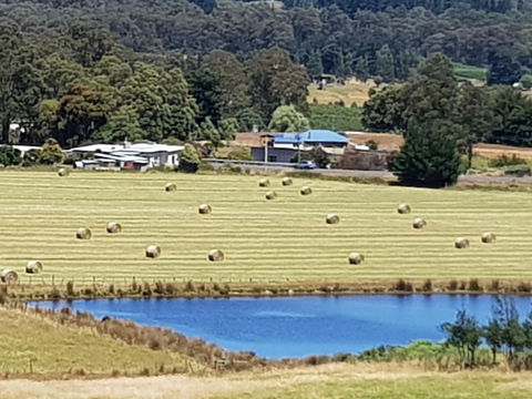Birch Lane - Holiday Sunshine Coast 4