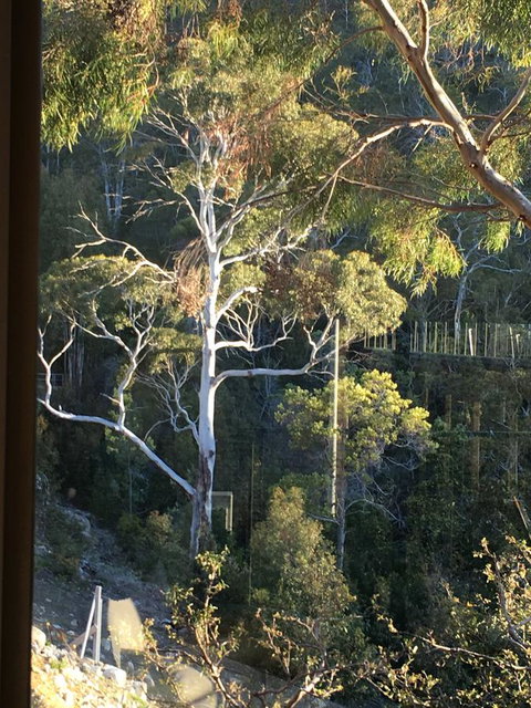 The Lookout - Sunshine Coast Tourism 22