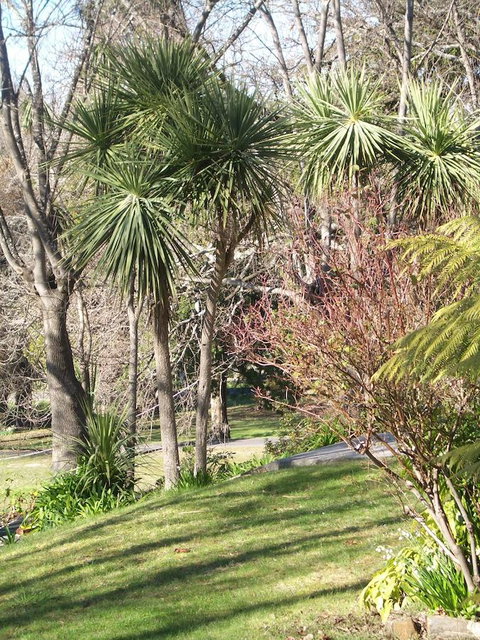 Lucinda B&B - Holiday Sunshine Coast 23