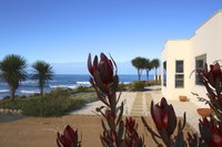 Book Falmouth Accommodation Vacations Sunshine Coast Tourism Sunshine Coast Tourism