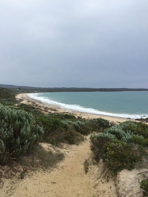 Seaspray - Sunshine Coast Tourism 15