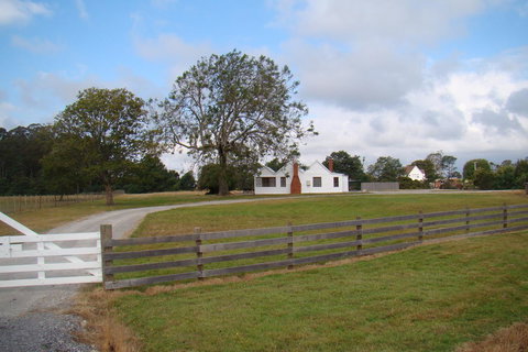 Buttons Cottage For Canyon & Rain Forest Walks With In House Dining - Holiday Sunshine Coast 16