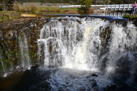 Buttons Cottage For Canyon & Rain Forest Walks With In House Dining - Holiday Sunshine Coast 30