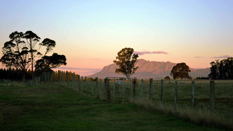 Buttons Cottage For Canyon & Rain Forest Walks With In House Dining - Holiday Sunshine Coast 31