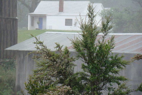 Buttons Cottage For Canyon & Rain Forest Walks With In House Dining - Holiday Sunshine Coast 9