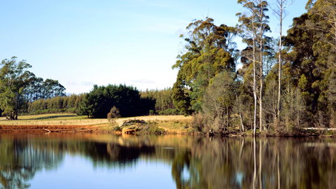 Buttons Cottage For Canyon & Rain Forest Walks With In House Dining - Holiday Sunshine Coast 29