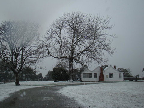 Buttons Cottage For Canyon & Rain Forest Walks With In House Dining - Holiday Sunshine Coast 11