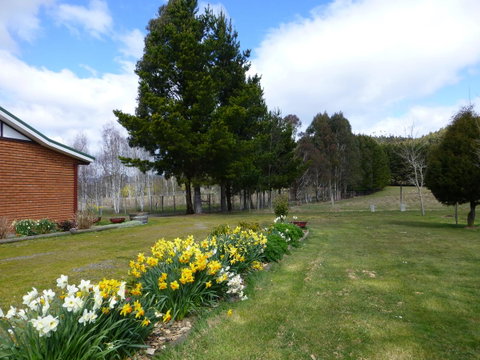 Quamby Pines Chalet - Sunshine Coast Tourism 23