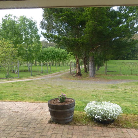 Quamby Pines Chalet - Sunshine Coast Tourism 24