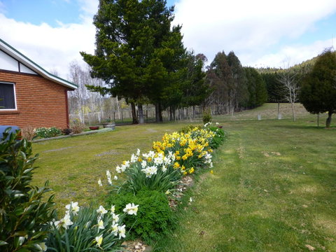 Quamby Pines Chalet - Sunshine Coast Tourism 19