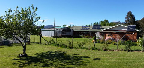 Quamby Pines Chalet - Sunshine Coast Tourism 1