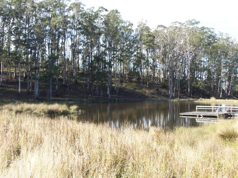 Quamby Pines Chalet - Sunshine Coast Tourism 14
