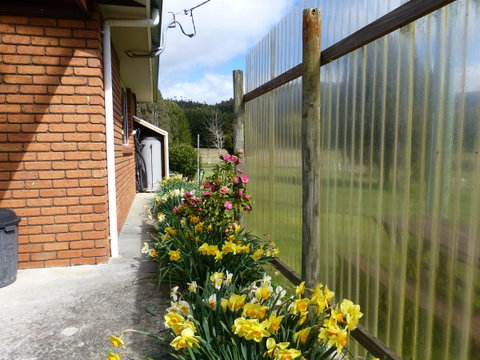 Quamby Pines Chalet - Sunshine Coast Tourism 20