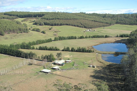 Quamby Pines Chalet - Sunshine Coast Tourism 7