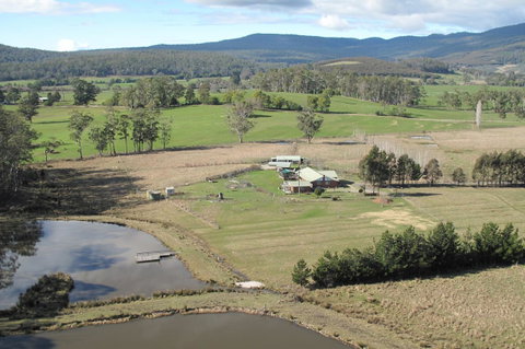 Quamby Pines Chalet - Sunshine Coast Tourism 9